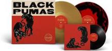  BLACK PUMAS -LP+7- [VINYL] - supershop.sk