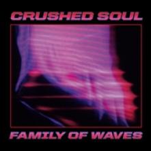  FAMILY OF WAVES [VINYL] - suprshop.cz