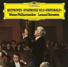 BERNSTEIN/BPH  - VINYL SYMFONIE 6 BEE..