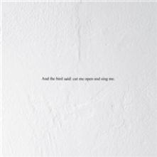  AND THE BIRD SAID: CUT.. [VINYL] - suprshop.cz