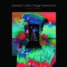  PAST LIFE REGRESSION -HQ- [VINYL] - suprshop.cz