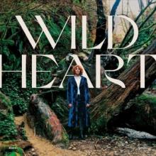  WILD HEART [VINYL] - supershop.sk