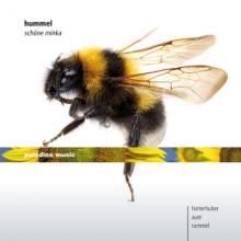 HUMMEL J.N.  - CD SCHONE MINKA