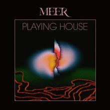  PLAYING HOUSE [VINYL] - supershop.sk