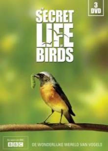  SECRET LIFE OF BIRDS - supershop.sk