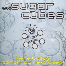 SUGARCUBES  - 2xVINYL HERE TODAY, TOMORROW.. [VINYL]