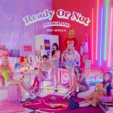 MOMOLAND  - CD READY OR NOT -PHOTOBOO-