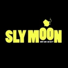 SLY MOON  - VINYL WHY AM I SO SLY? [VINYL]