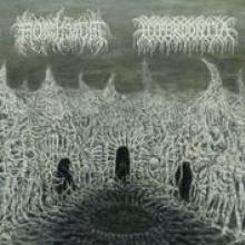 HYPERDONTIA/MORTIFERUM  - SI SPLIT /7