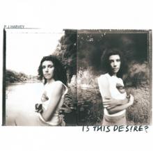 PJ HARVEY  - VINYL IS THIS DESIRE? -HQ- [VINYL]