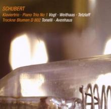 SCHUBERT FREDERIC  - CD PIANO TRIO NO.1/TROCKNE B