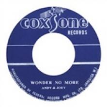  WONDER NO MORE/HEAVEN & EARTH [VINYL] - supershop.sk