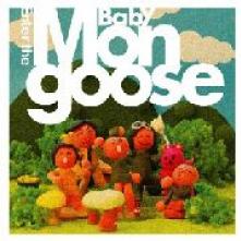 BABY MONGOOSE  - CD ENTER THE BABY MONGOOSE