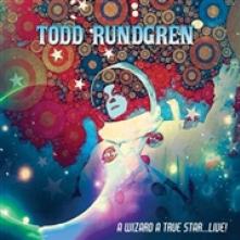 RUNDGREN TODD  - 2xVINYL WIZARD, A TRUE STAR..L [VINYL]