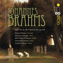 BRAHMS JOHANNES  - CD HORN TRIO-CLARINET TRIO