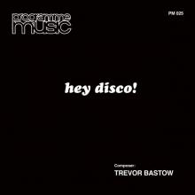 BASTOW TREVOR  - VINYL HEY DISCO! [VINYL]