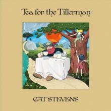 YUSUF ( STEVENS CAT )  - VINYL TEA FOR THE TI..