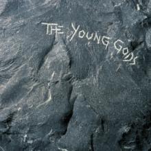  THE YOUNG GODS LTD. [VINYL] - suprshop.cz