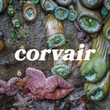  CORVAIR [VINYL] - suprshop.cz