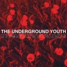 UNDERGROUND YOUTH  - VINYL FALLING [VINYL]