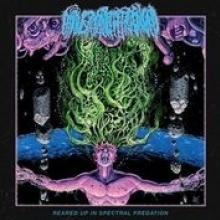  REARED UP IN SPECTRAL PREDATION [VINYL] - supershop.sk