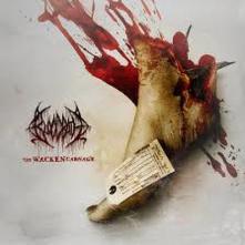  WACKEN CARNAGE (180G) [VINYL] - suprshop.cz