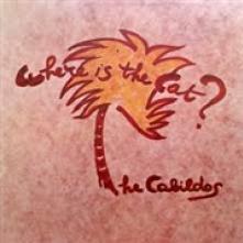  WHERE IS THE CAT - RSD 2021 RELEASE - OR [VINYL] - supershop.sk