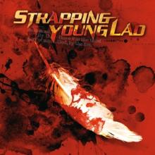 STRAPPING YOUNG LAD  - VINYL SYL [VINYL]