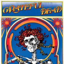  GRATEFUL DEAD (SKULL.. [VINYL] - suprshop.cz