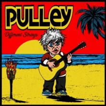 PULLEY  - VINYL DIFFERENT STRINGS [VINYL]