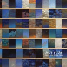 TINDERSTICKS  - VINYL SOMETHING RAIN [VINYL]