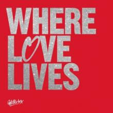  WHERE LOVE LIVES [VINYL] - suprshop.cz