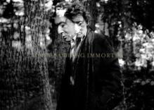 BASHUNG ALAIN  - 24xCD IMMORTEL - INTEGRALE