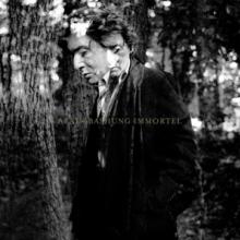 BASHUNG ALAIN  - VINYL IMMORTEL - INTEGRALE [VINYL]