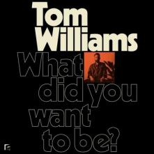  WHAT DID YOU WANT TO BE? [VINYL] - supershop.sk