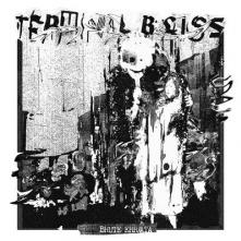 TERMINAL BLISS  - VINYL BRUTE ERR/ATA LTD. [VINYL]