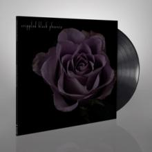 CRIPPLED BLACK PHOENIX  - VINYL PAINFUL REMIND..