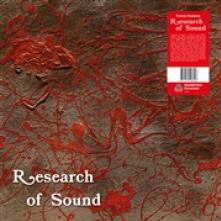 ROELENS PUCCIO  - VINYL RESEARCH OF SOUND [VINYL]