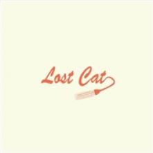  LOST CAT [VINYL] - supershop.sk