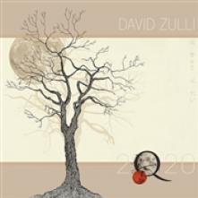 ZULLI DAVID  - VINYL 2Q20 -HQ/GATEFOLD- [VINYL]