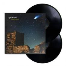  FOLLOWING GHOSTS [VINYL] - supershop.sk