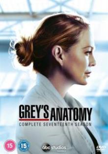 TV SERIES  - 5xDVD GREY'S ANATOMY S17