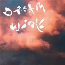  DREAM WORK -COLOURED- [VINYL] - suprshop.cz