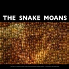 SNAKE MOANS  - VINYL HISSING LINK [VINYL]