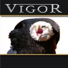 VIGOR  - CD GREAT DREAMS