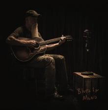 SEASICK STEVE  - VINYL BLUES IN MONO [VINYL]