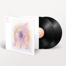  MUSIC FOR PSYCHEDELIC THERAPY -GATEFOLD- [VINYL] - suprshop.cz