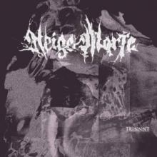 NEIGE MORTE  - CD TRINNNT