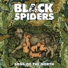  SONS OF THE NORTH [VINYL] - supershop.sk