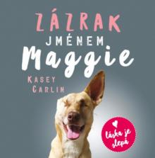 SLOVACKOVA ANNA JULIE  - CD CARLIN: ZAZRAK JMENEM MAGGIE (MP3-CD)